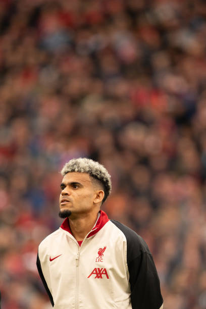 这里的一草 这里的一草